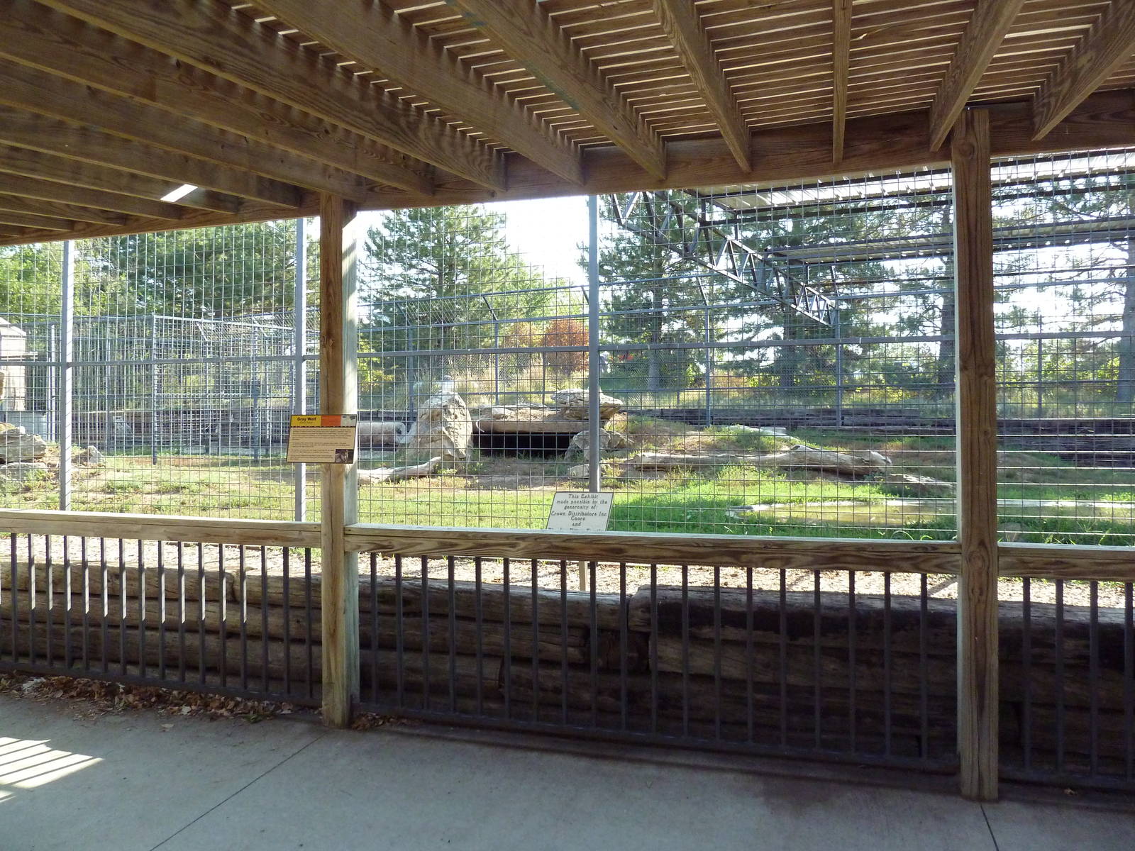 Gray Wolf Exhibit
