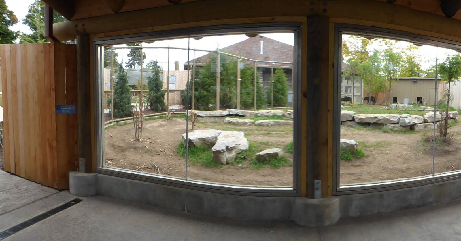 Gray Wolf Exhibit
