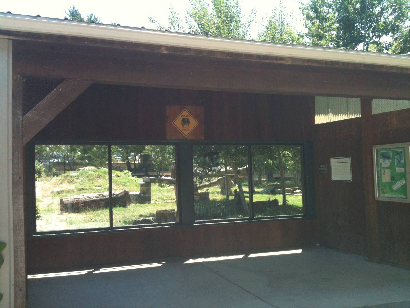 Gray Wolf Glass Viewing. June 2012.
