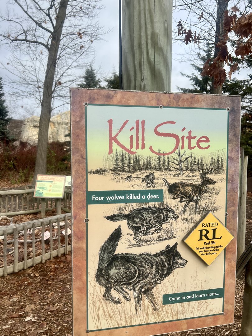 Gray Wolf Predation Information Sign