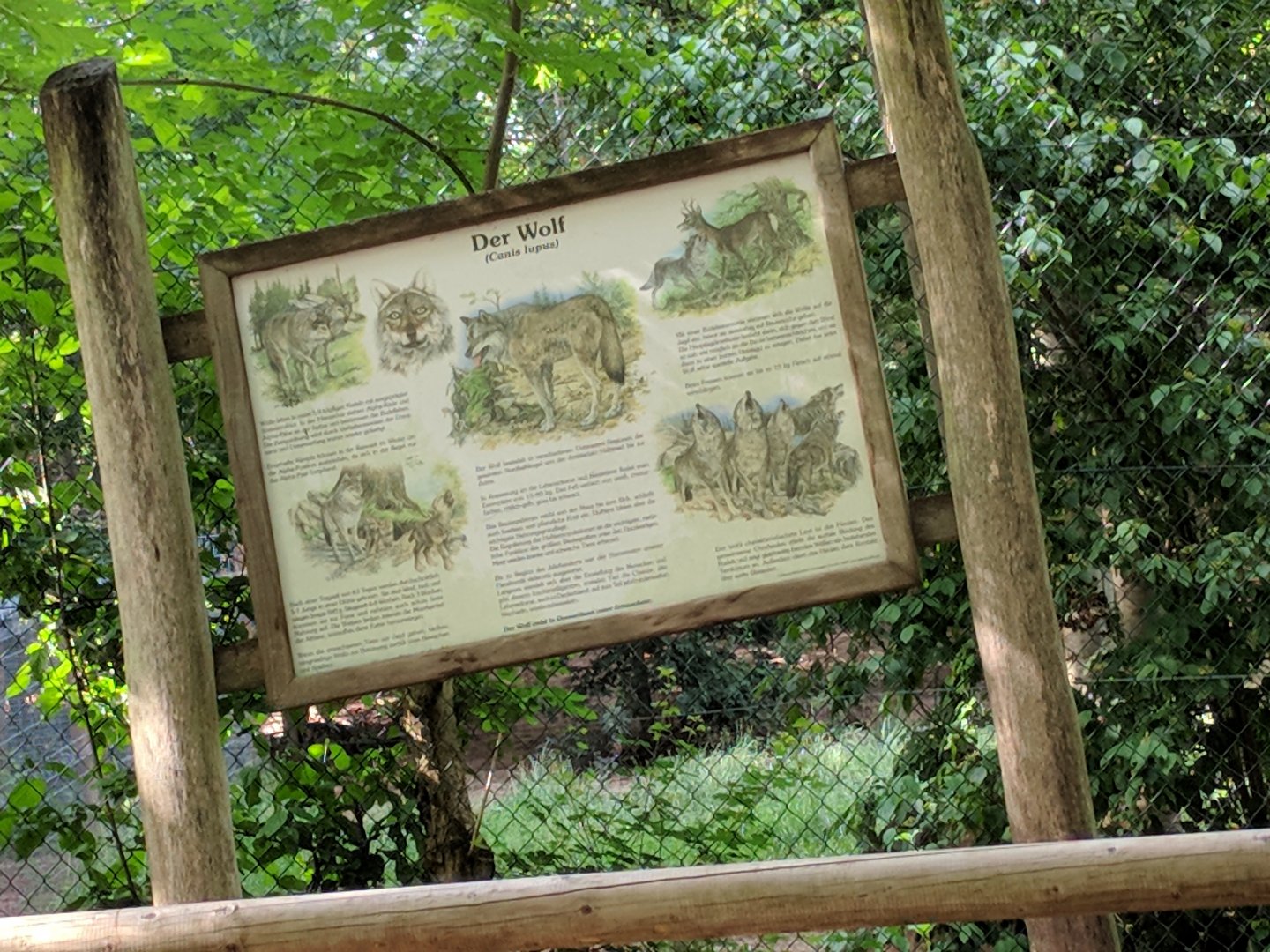 Gray Wolf Signage