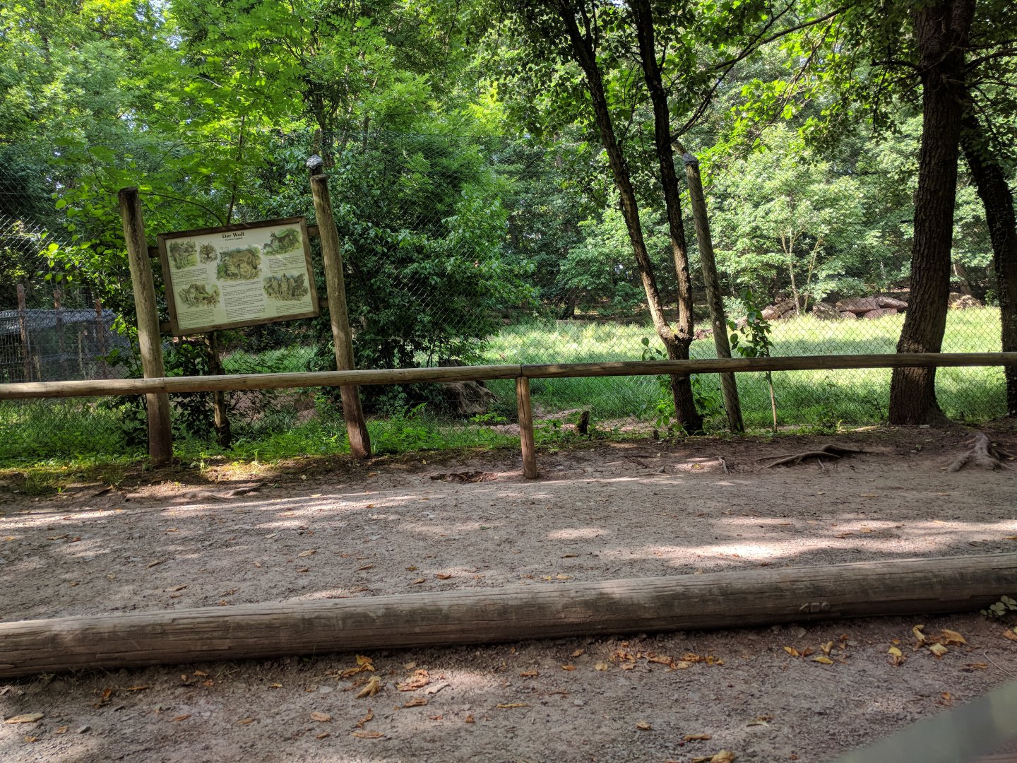 Gray Wolf Viewing Area and Enclosure