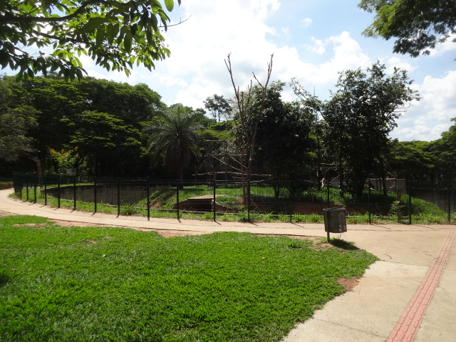 Gray woolly monkey exhibit - Belo Horizonte zoo