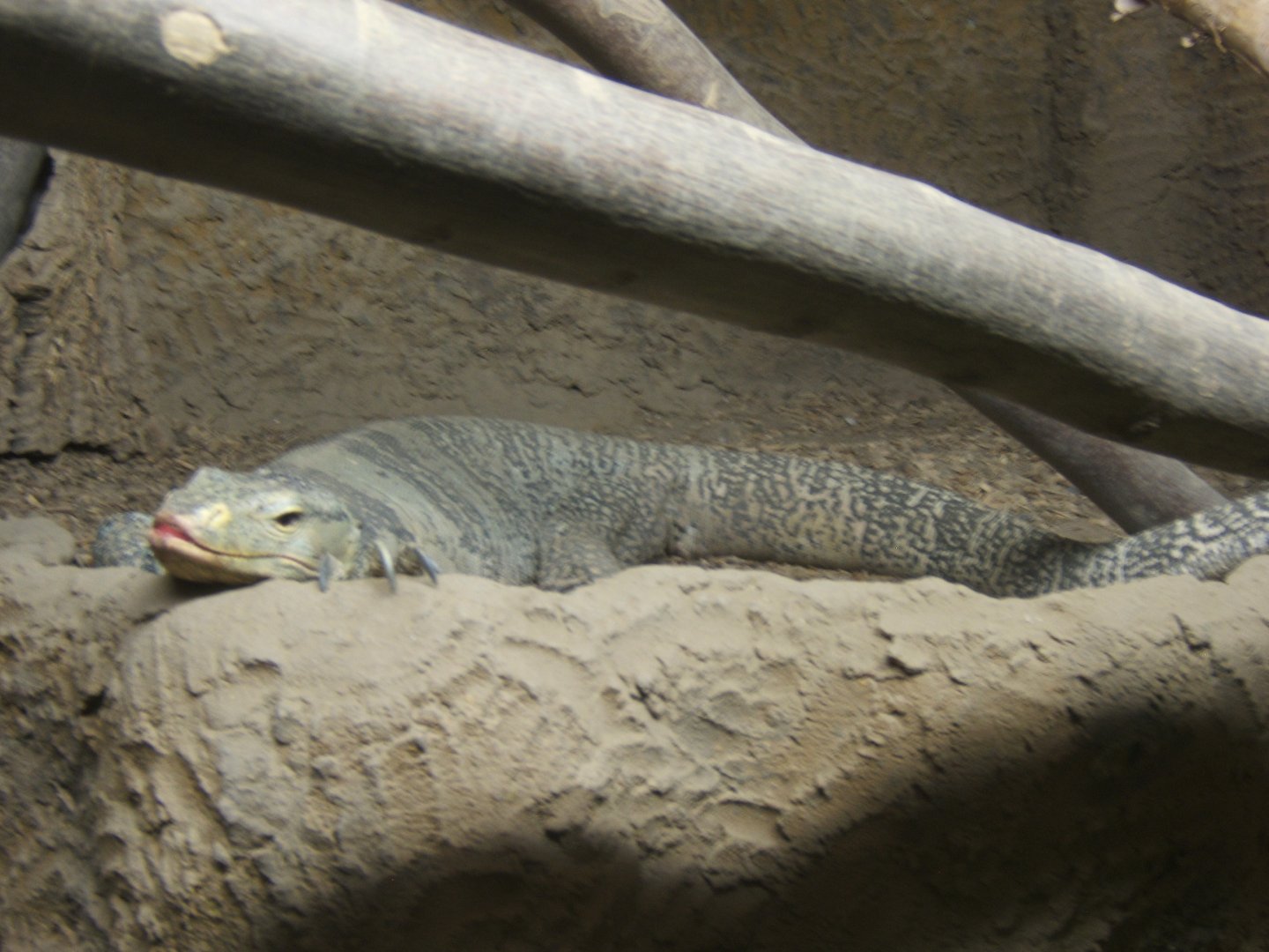 Gray's Monitor 27/08/2017