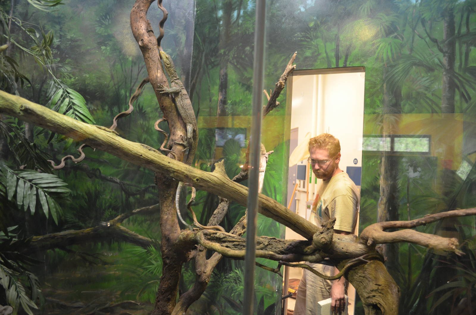 Grays Monitor and Keeper