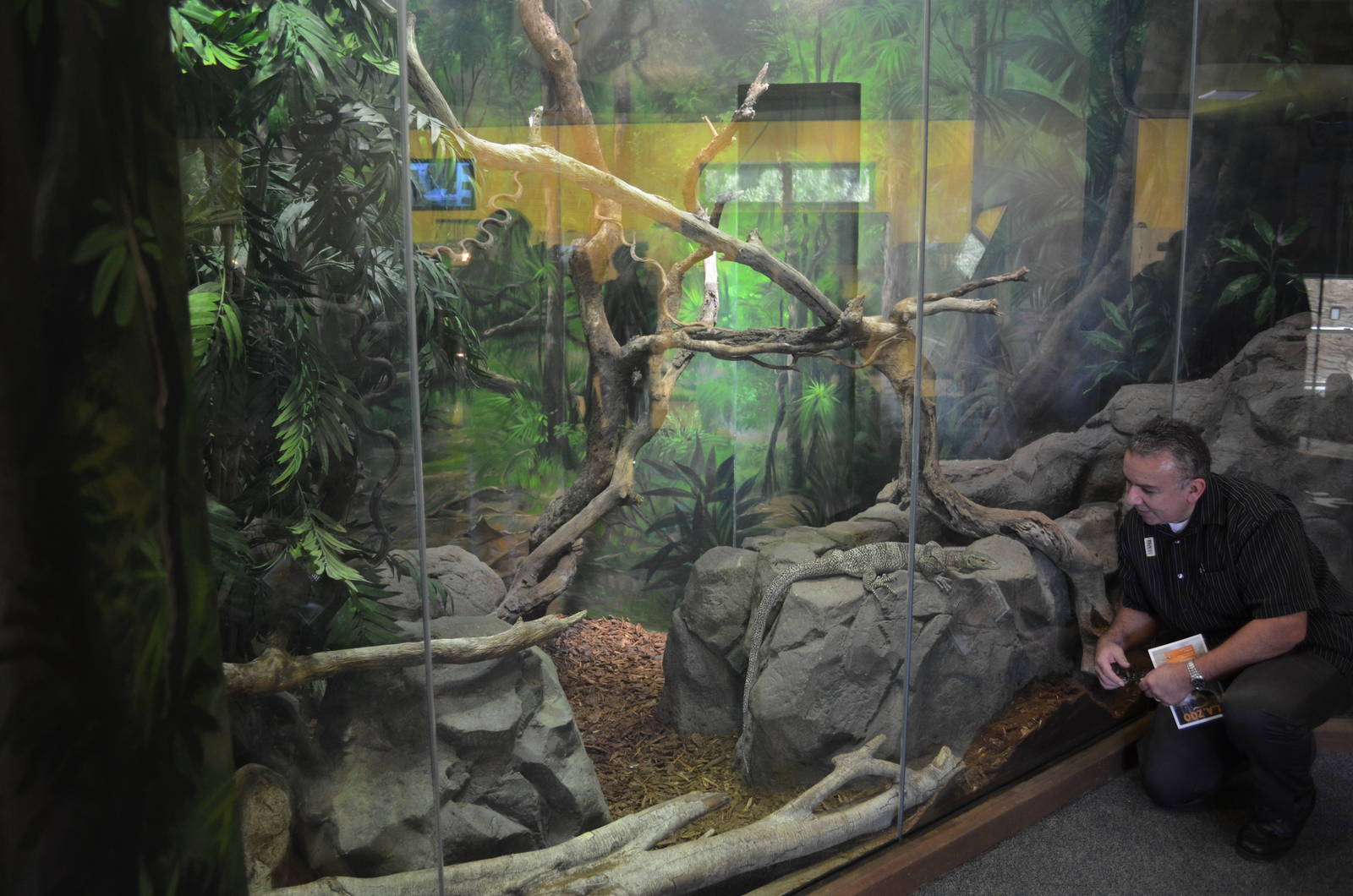 GRAY'S MONITOR EXHIBIT