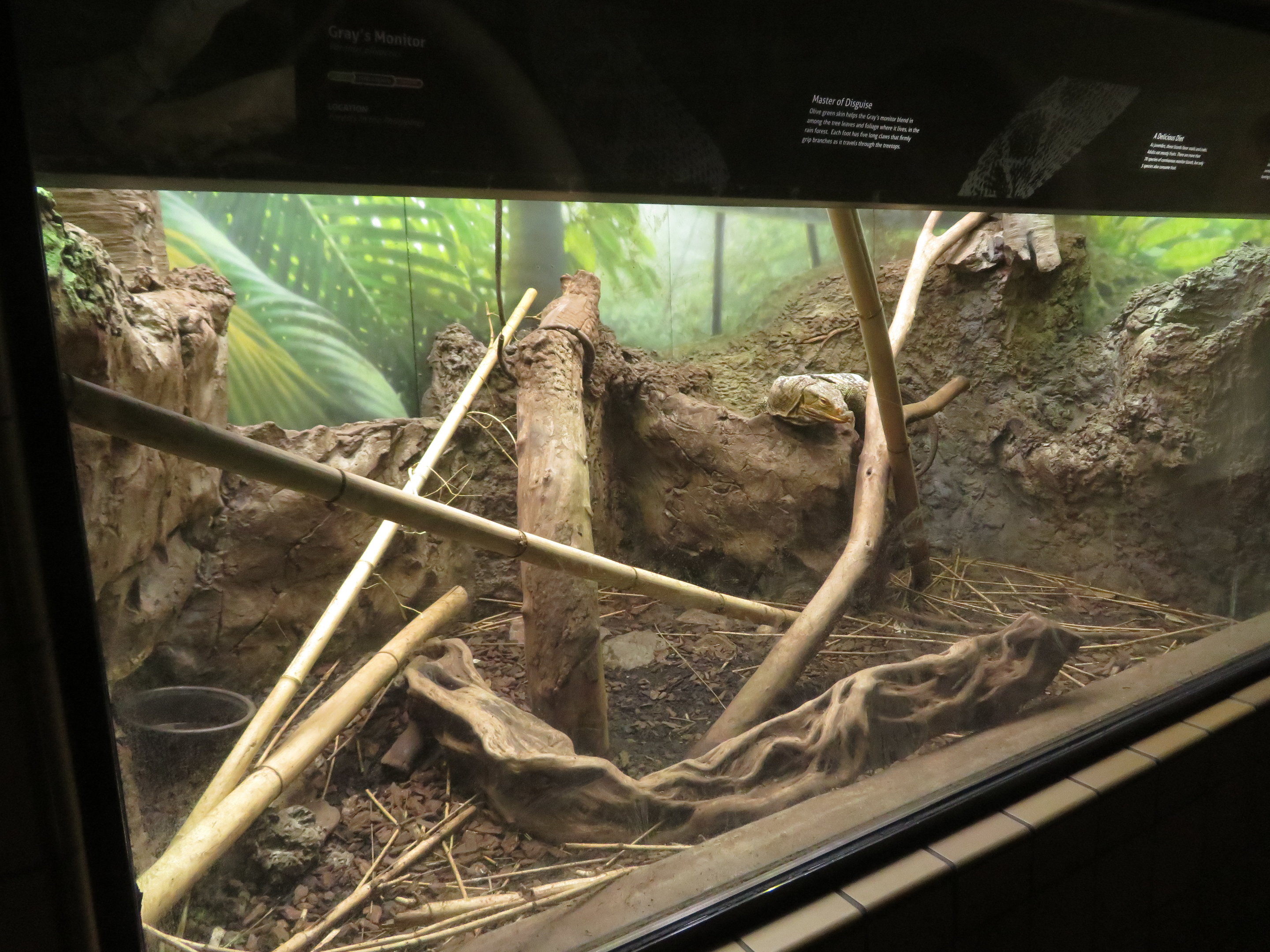 Gray's Monitor Exhibit