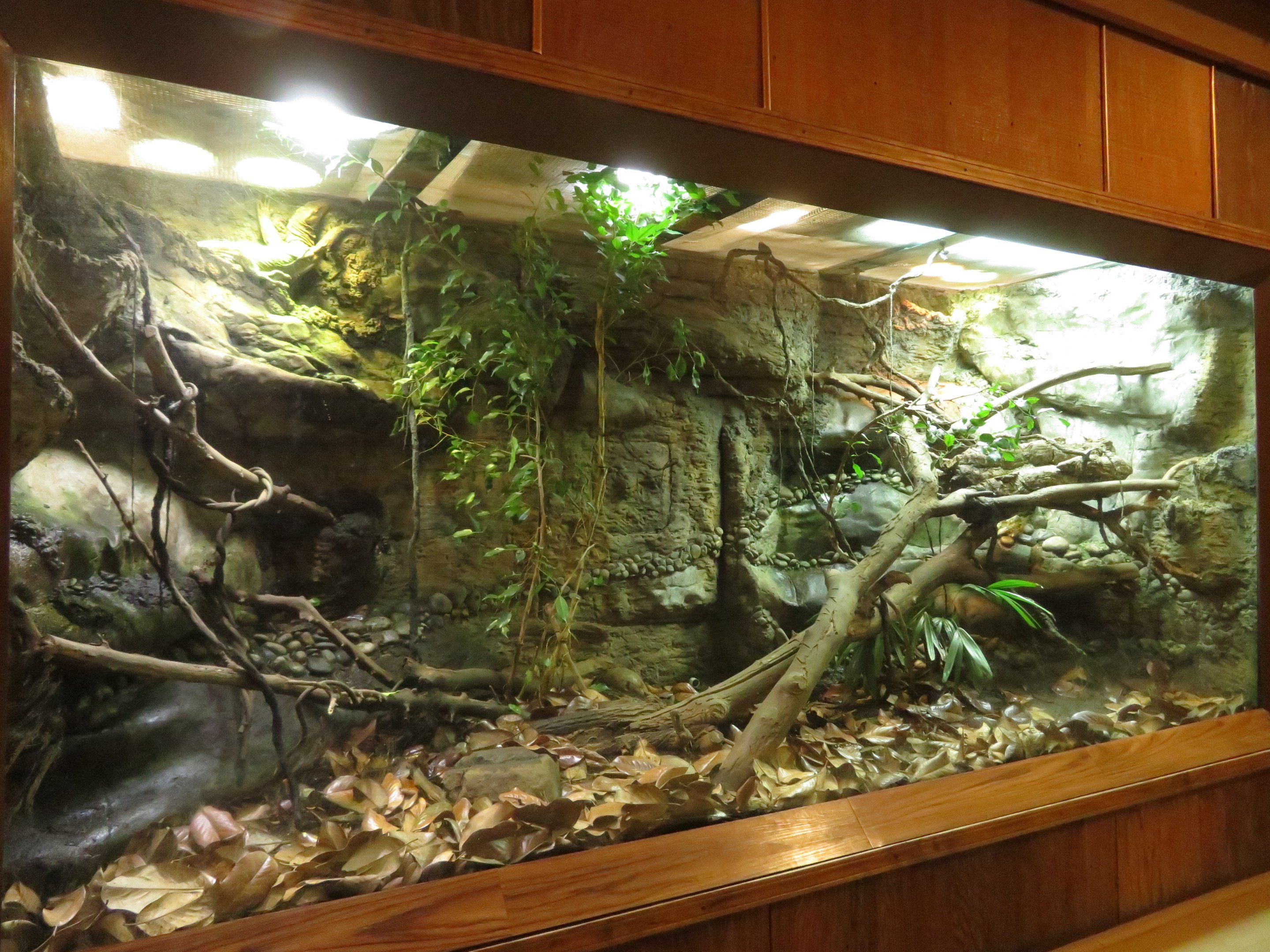 Gray's Monitor Exhibit