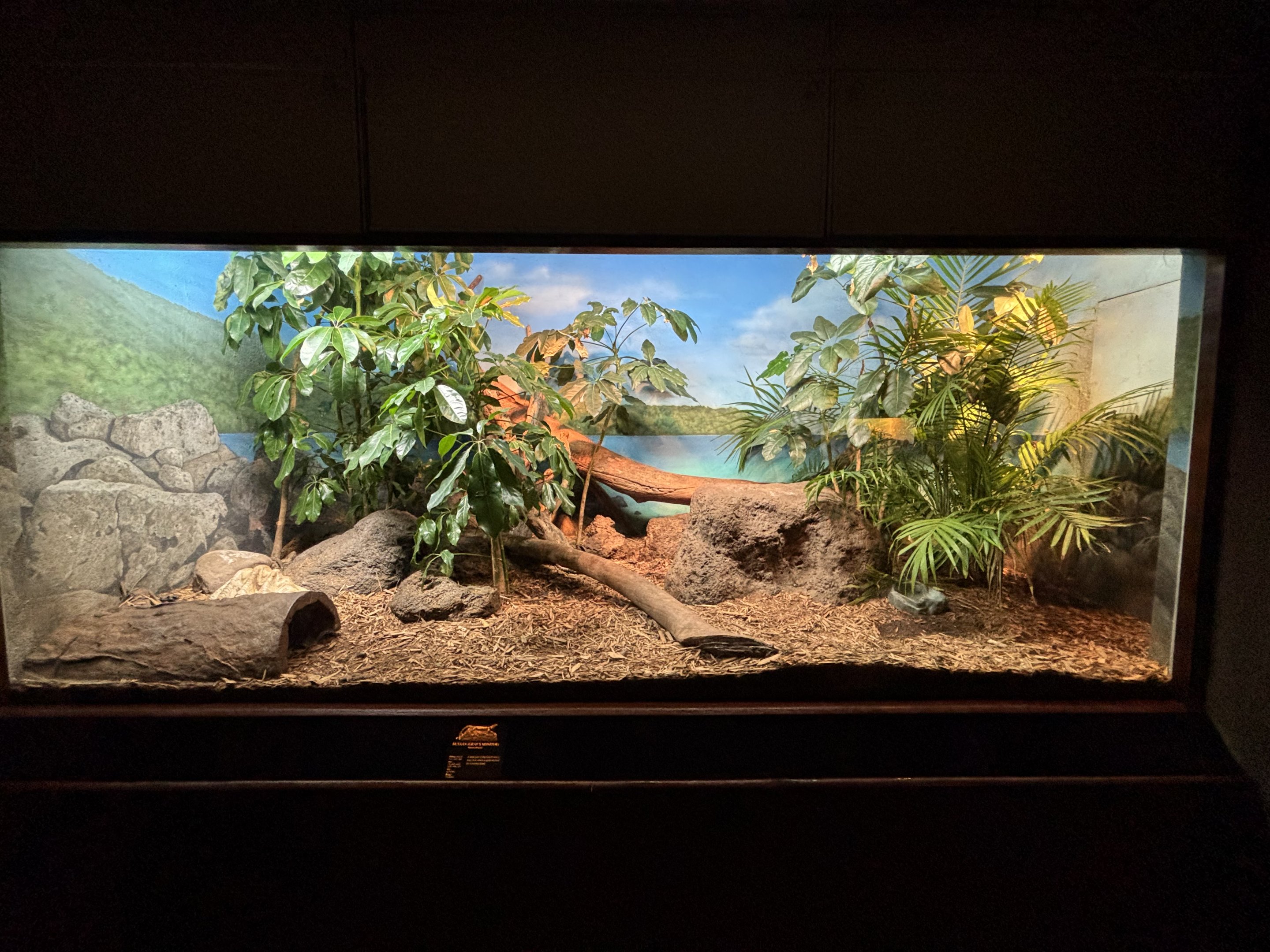 Gray’s Monitor Exhibit