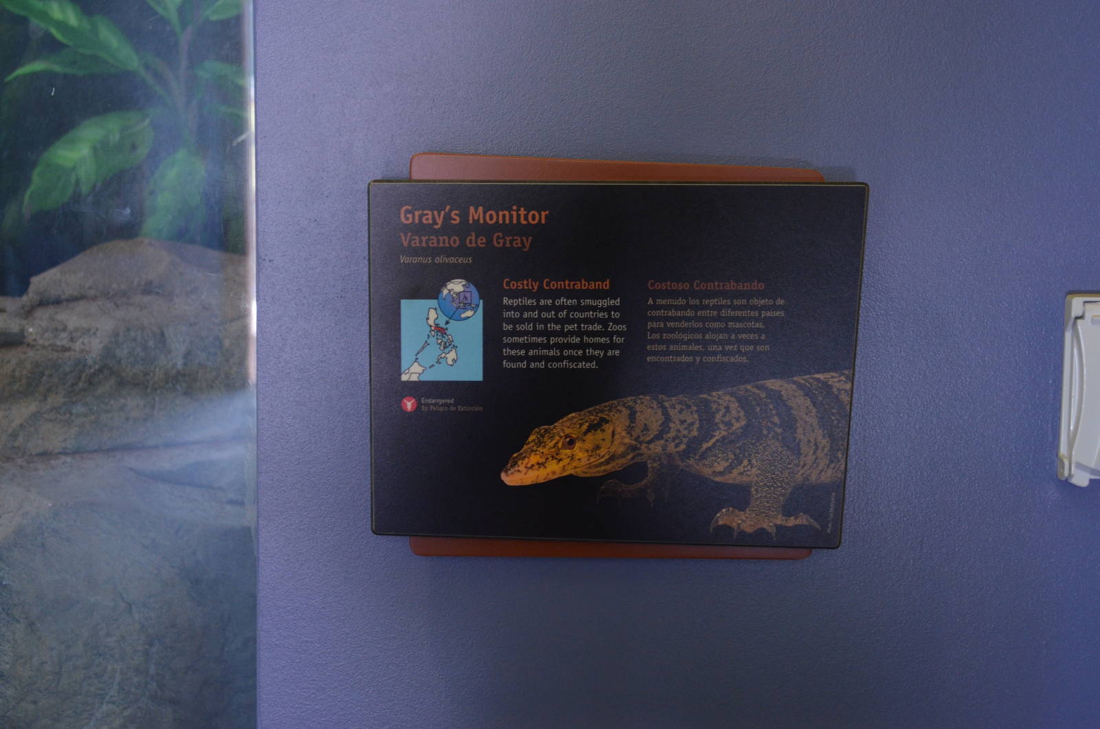 GRAY'S MONITOR SIGNAGE