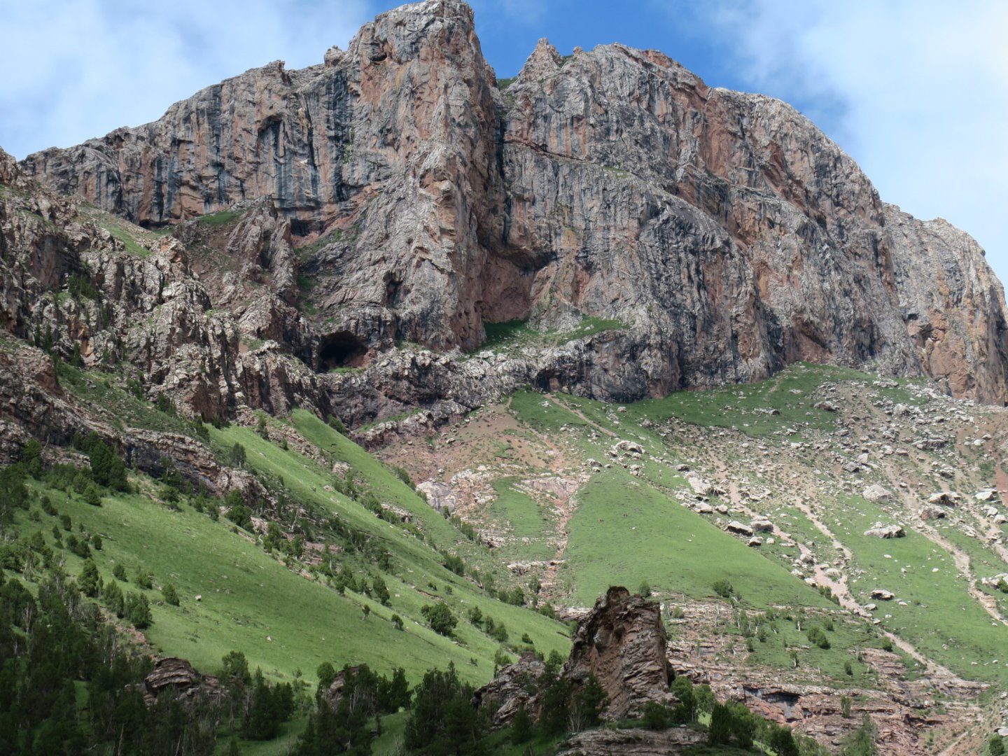 Grazing land of blue sheep and white-lipped deer