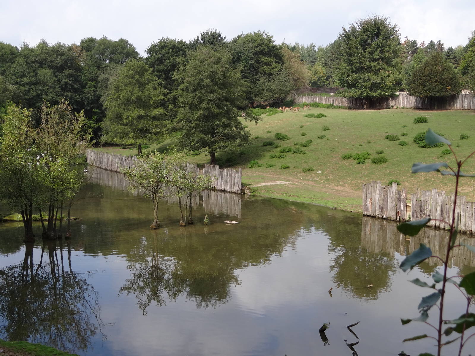 Great african enclosure