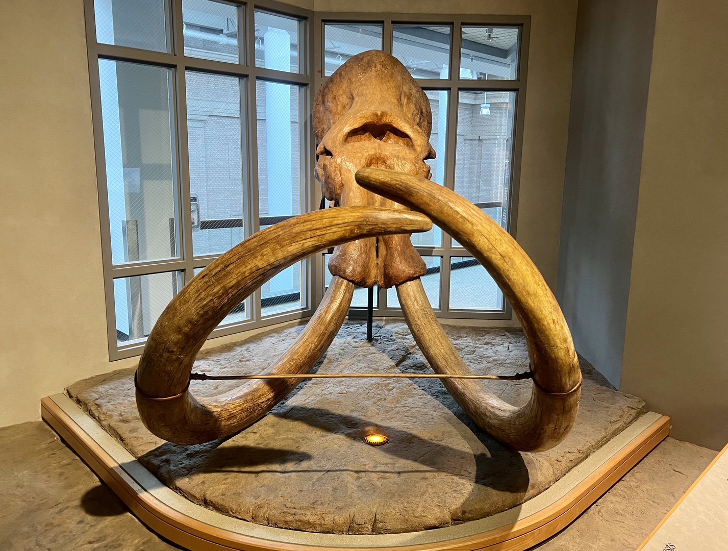 Great American Cyclops