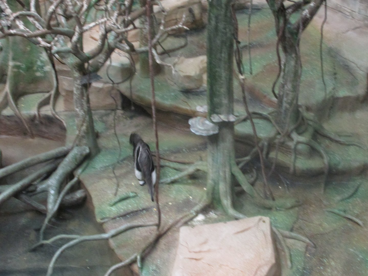 great anteater in tropic world