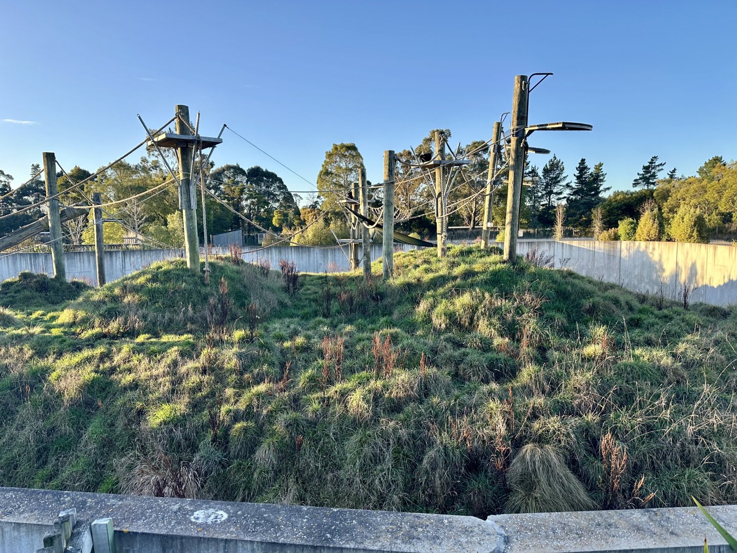 Great Ape Centre (Paddock Two)