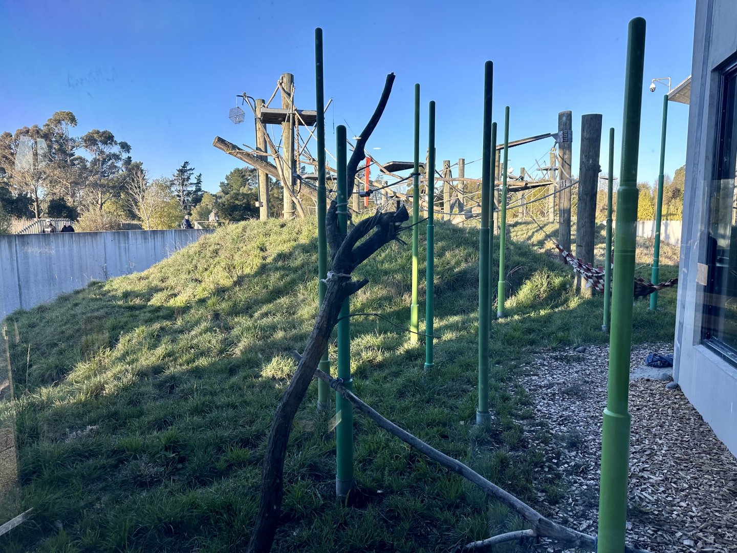 Great Ape Centre (Viewing Window)