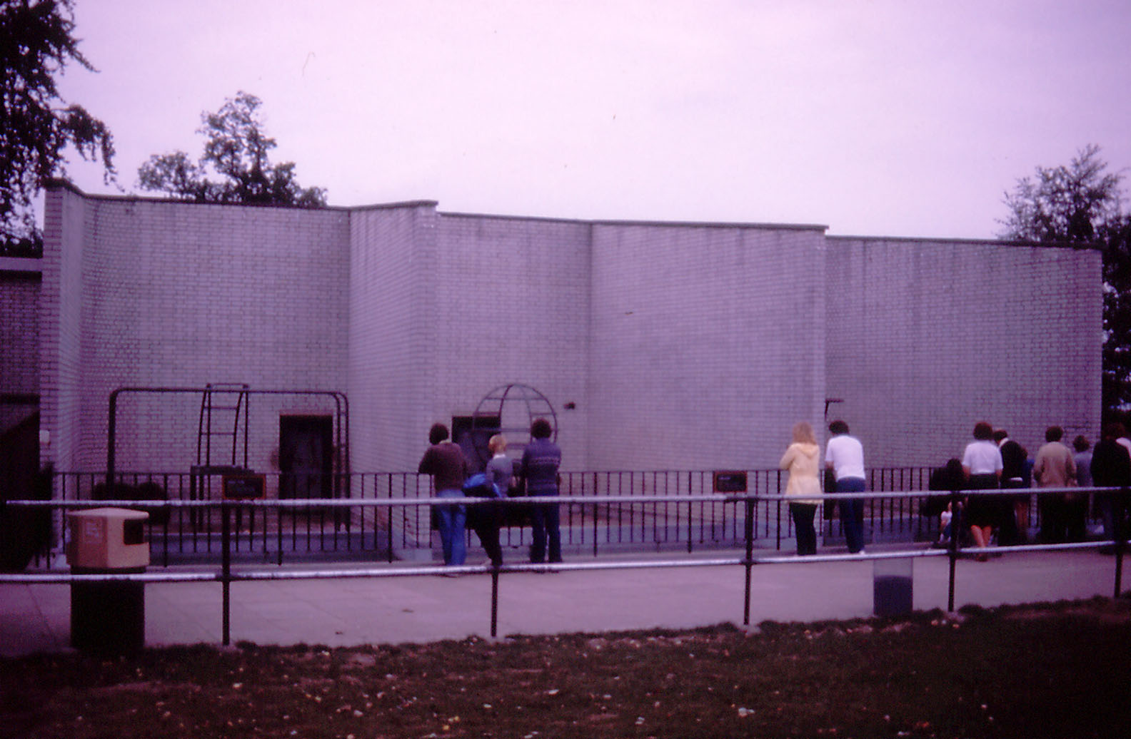 Great Ape exhibit - 1982