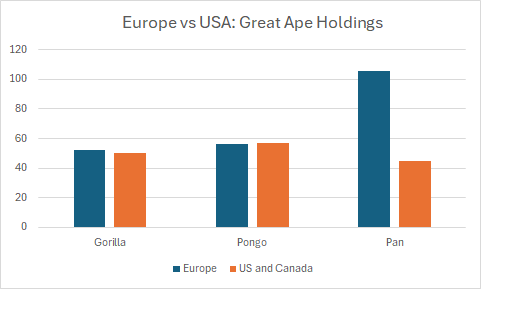 Great Ape Holdings by Continent
