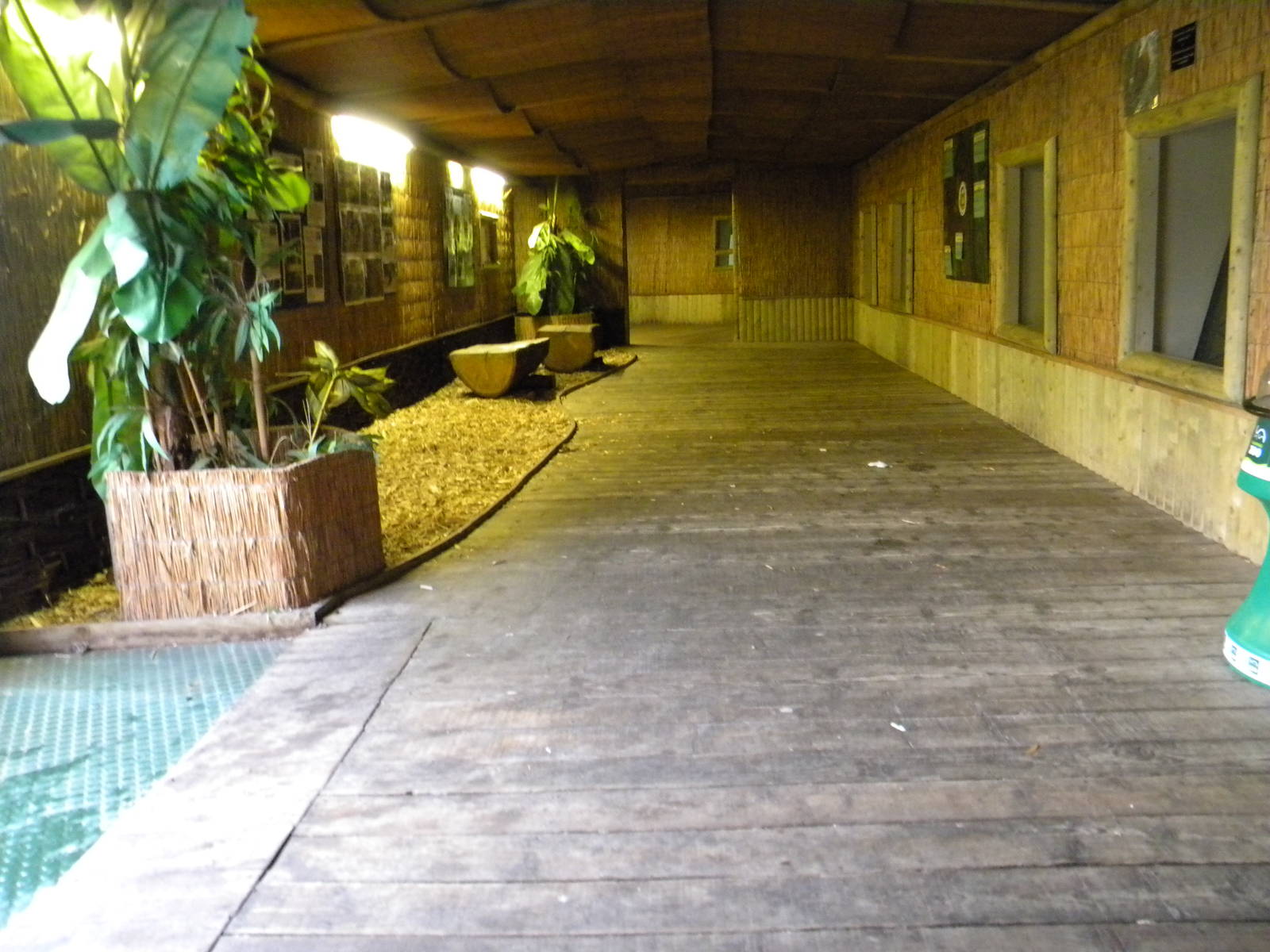 Great Ape House at Blackpool Zoo 17/07/11