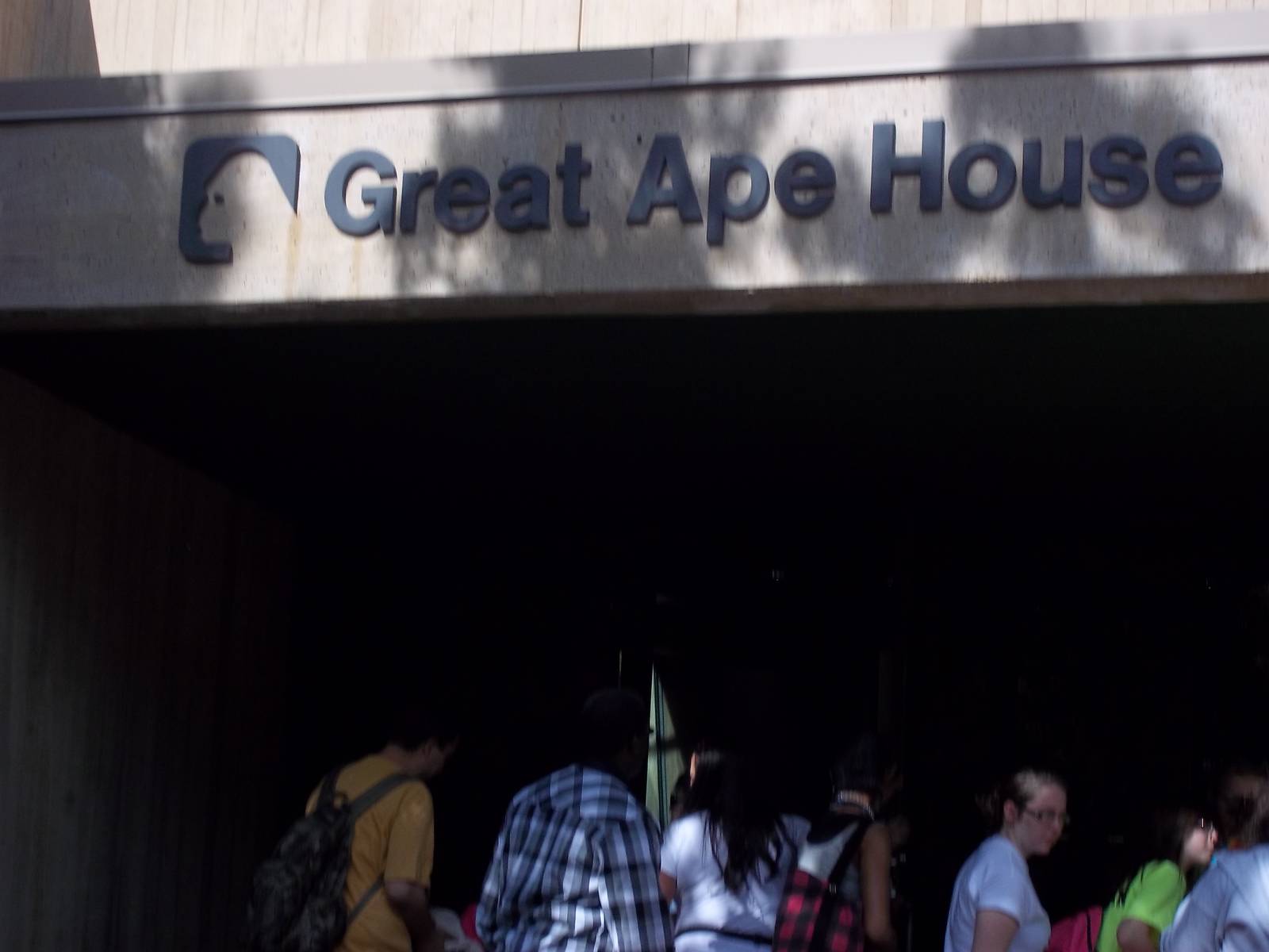 Great ape House Entery