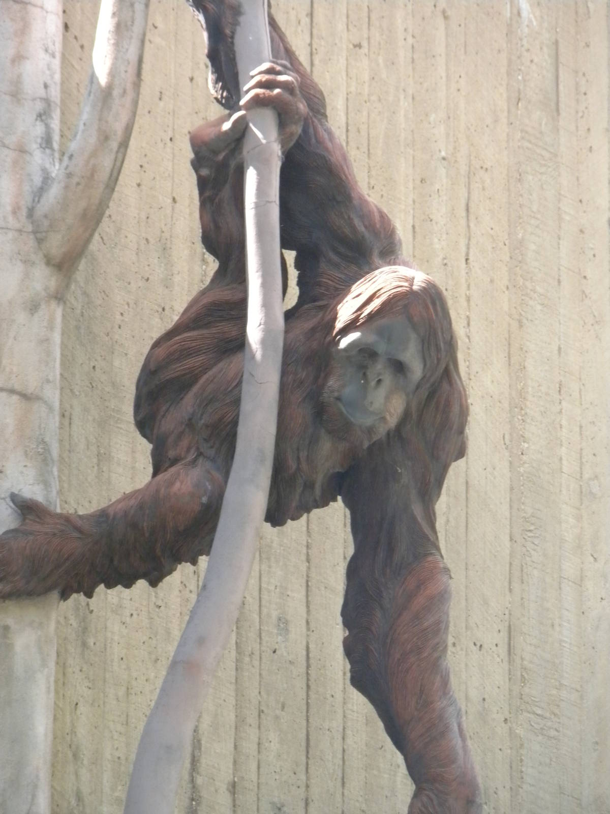 Great Ape House Exit