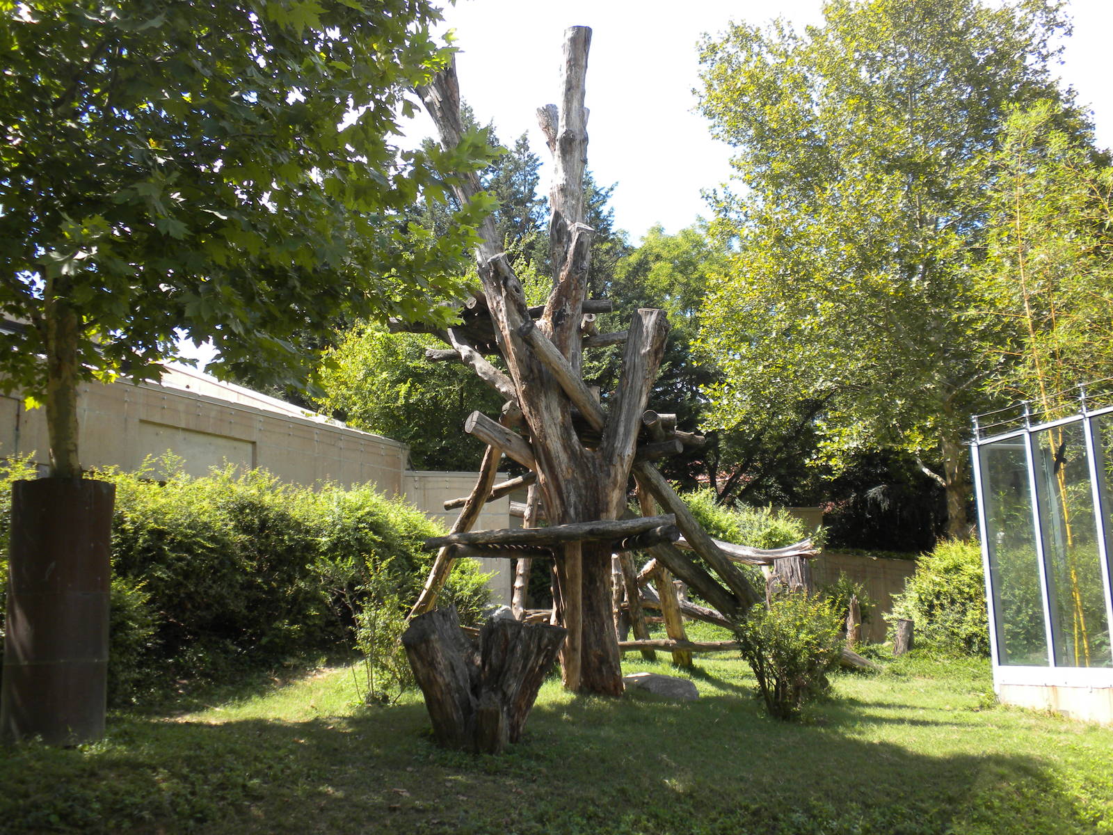 Great Ape House - Gorilla Exhibit