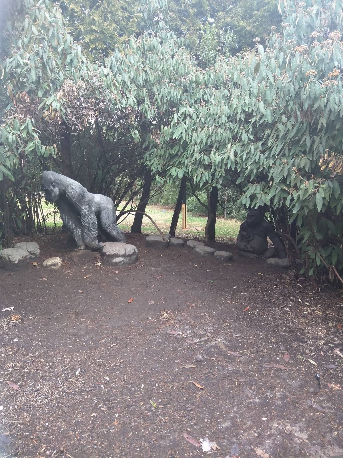 Great Ape House - Gorilla Sculptures