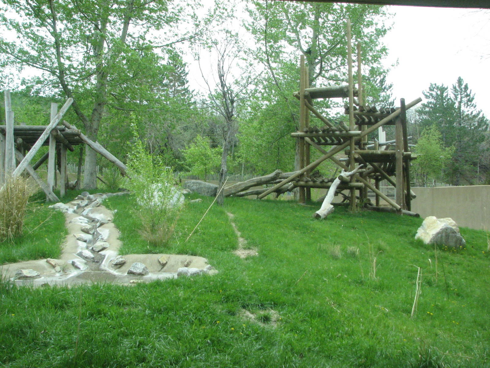 Great Ape House - Gorilla Yard