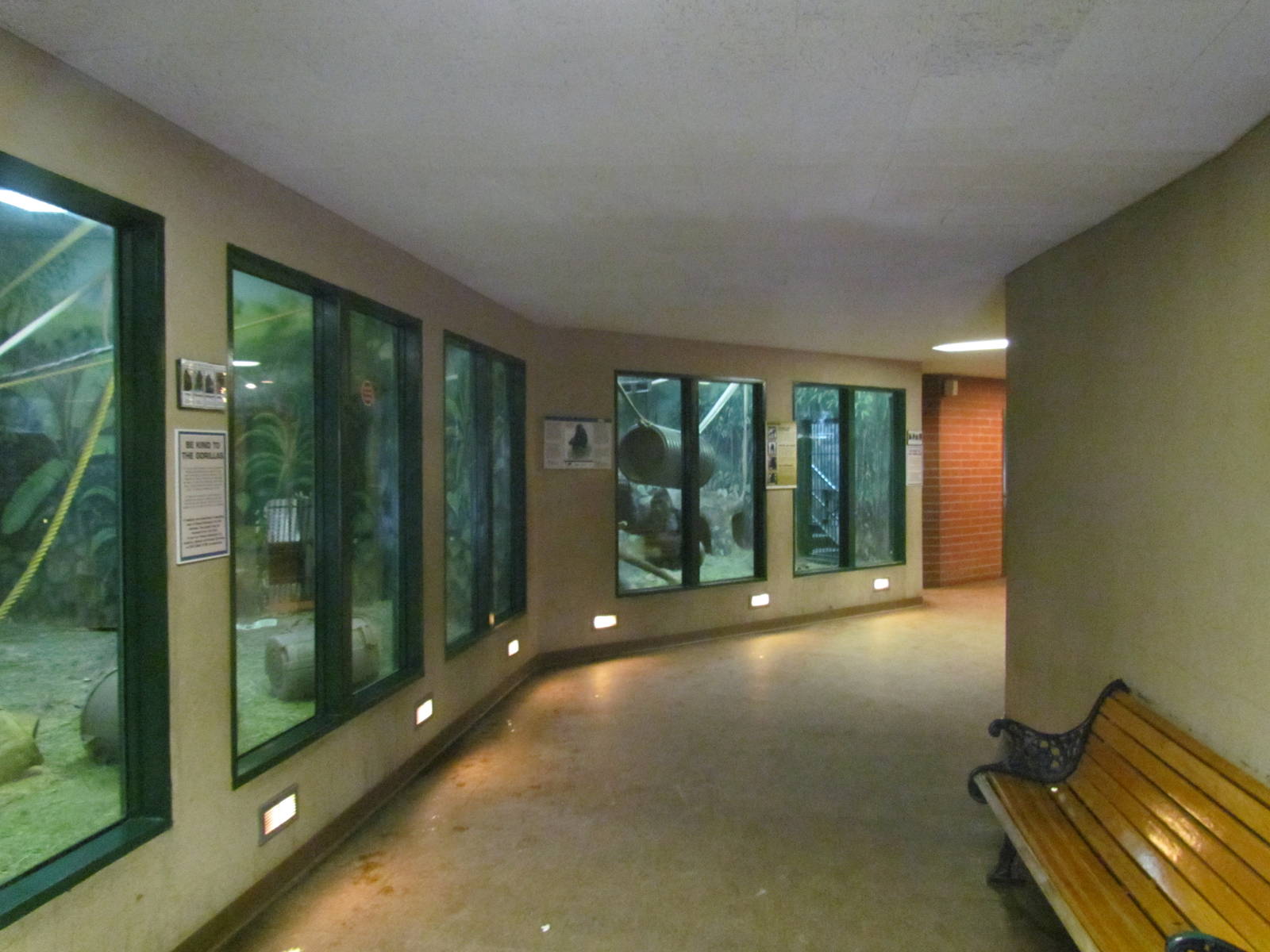 Great Ape House - Hallway
