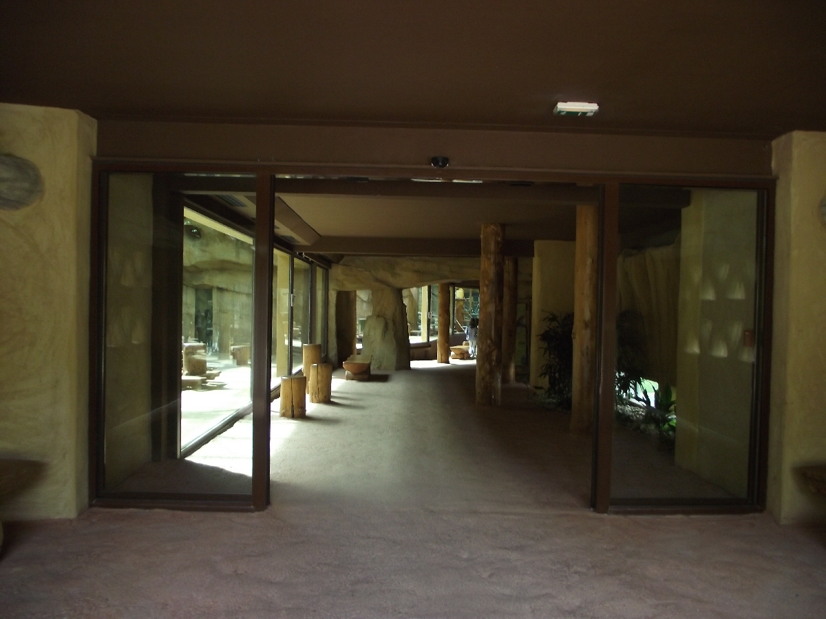 Great Ape House Indoor #1