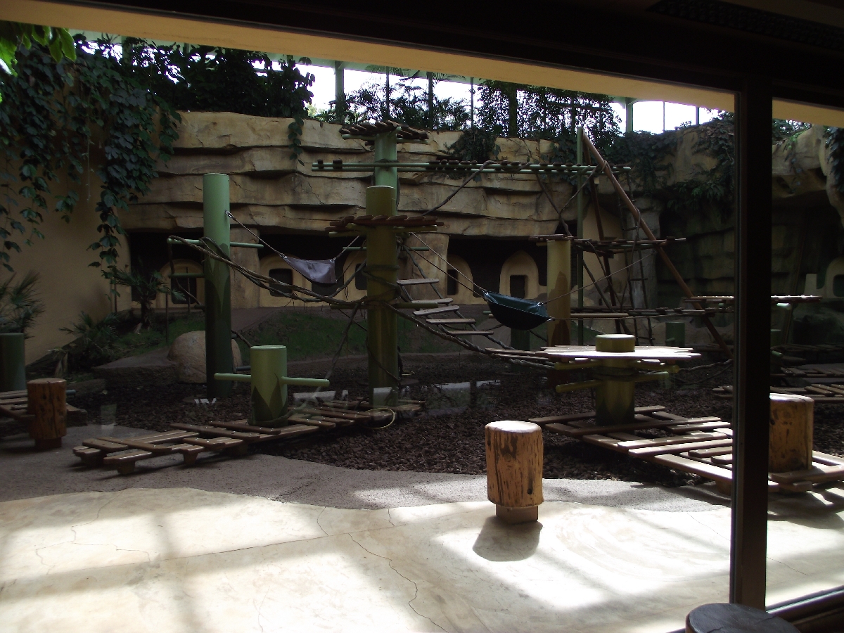 Great Ape House Indoor #2