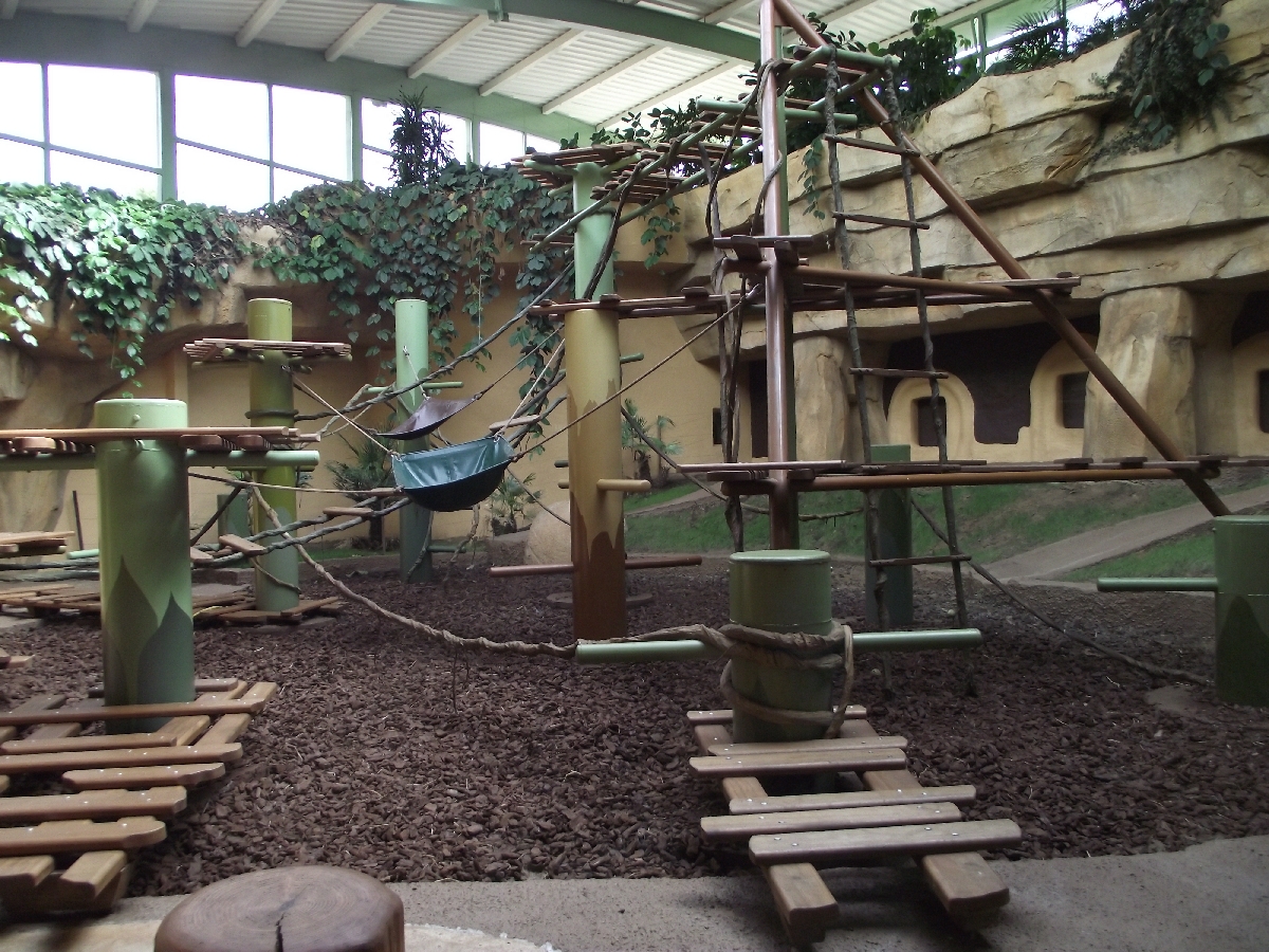 Great Ape House Indoor #4
