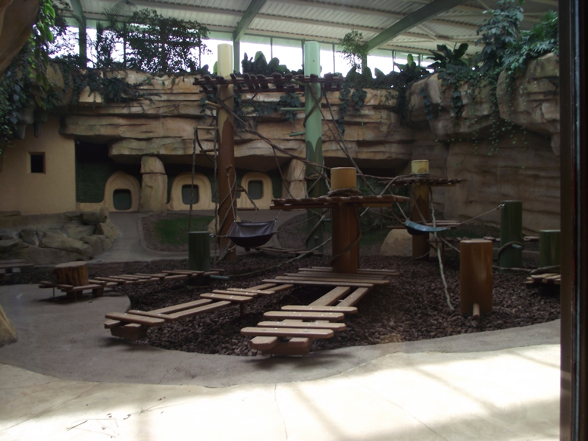 Great Ape House Indoor #5
