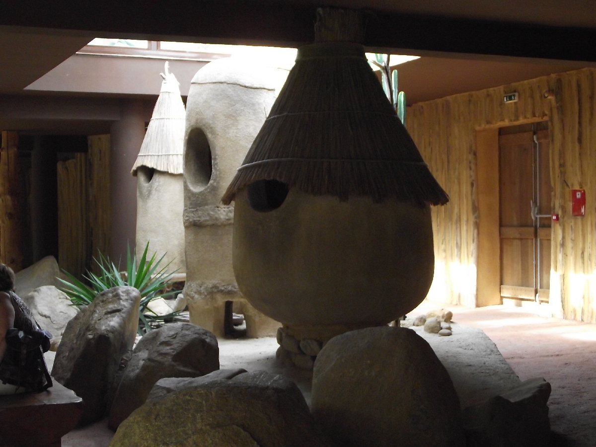 Great Ape House Indoor #6