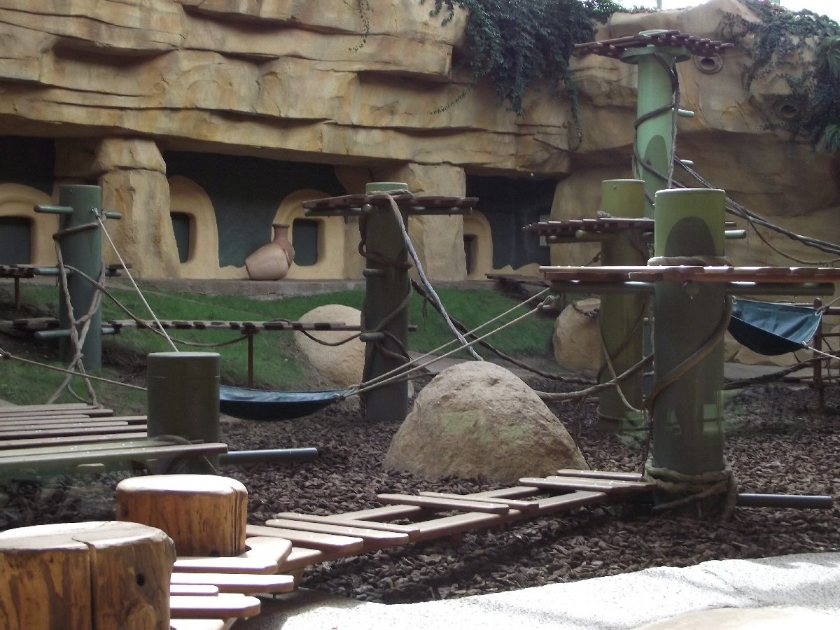 Great Ape House Indoor #7