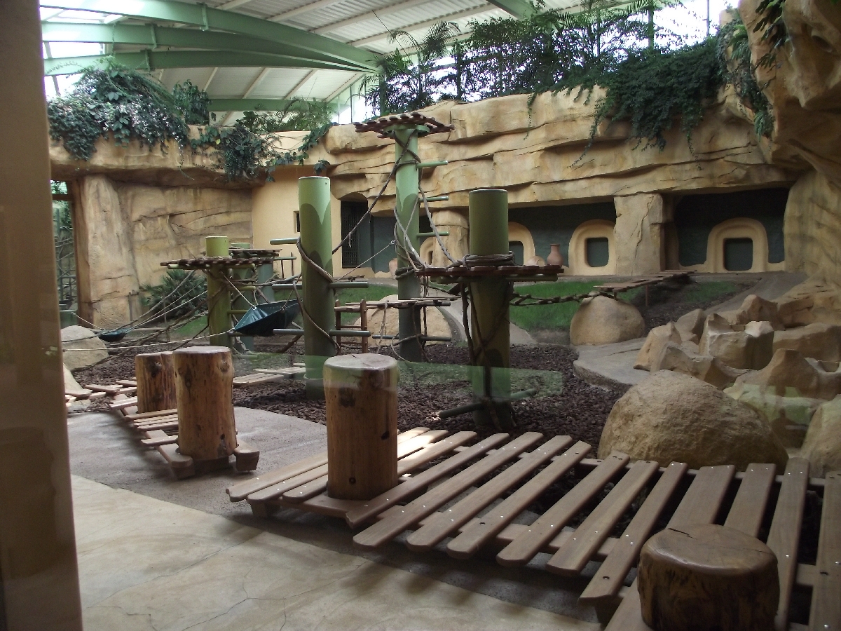Great Ape House Indoor #9