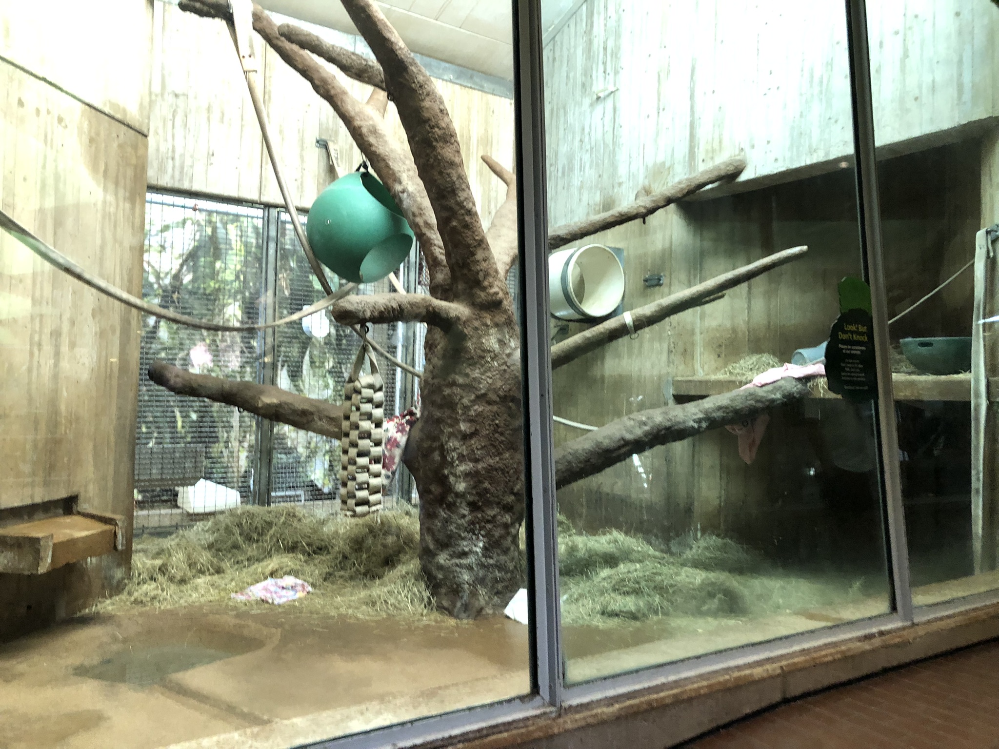 Great ape house, indoor enclosures