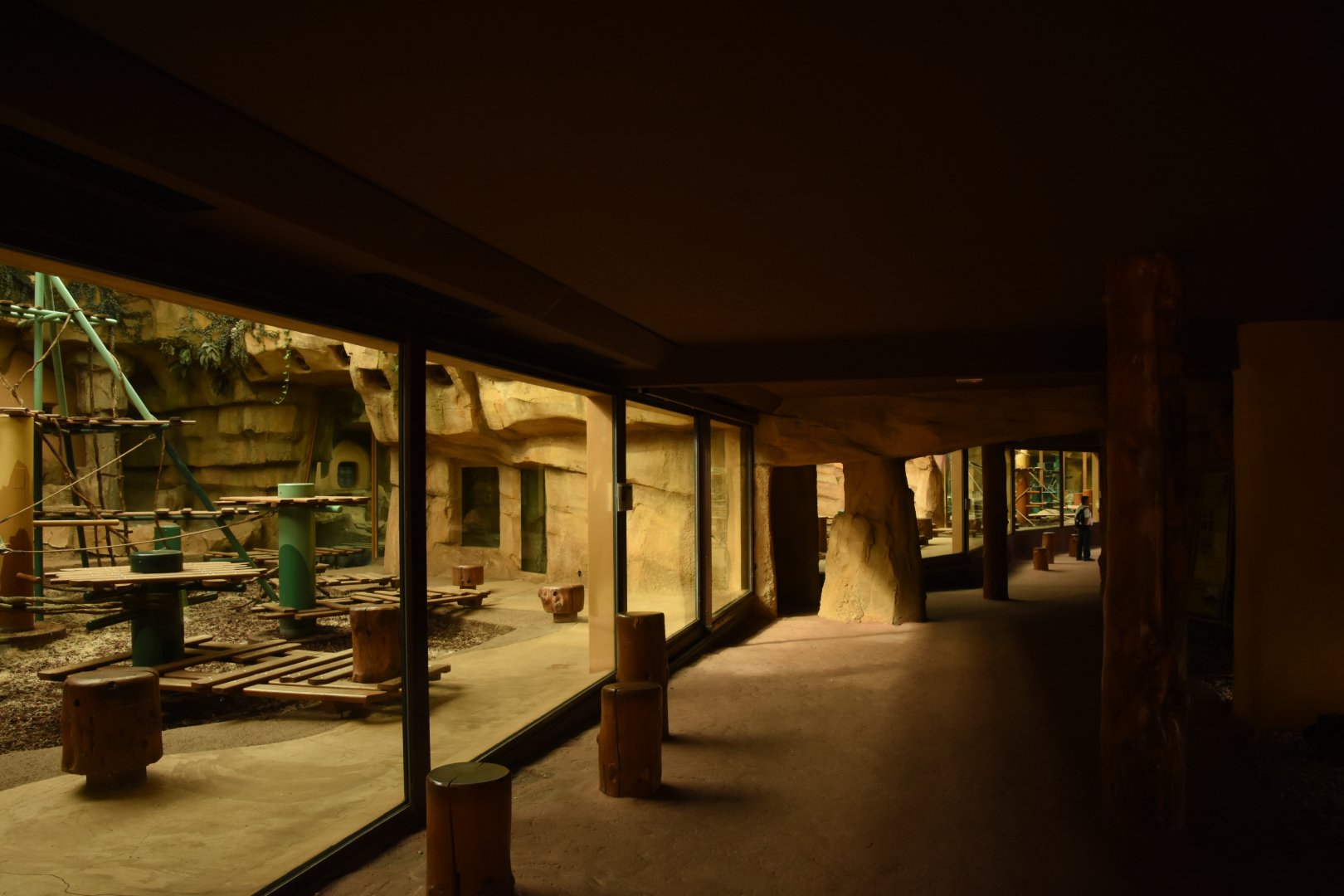 Great Ape house interior