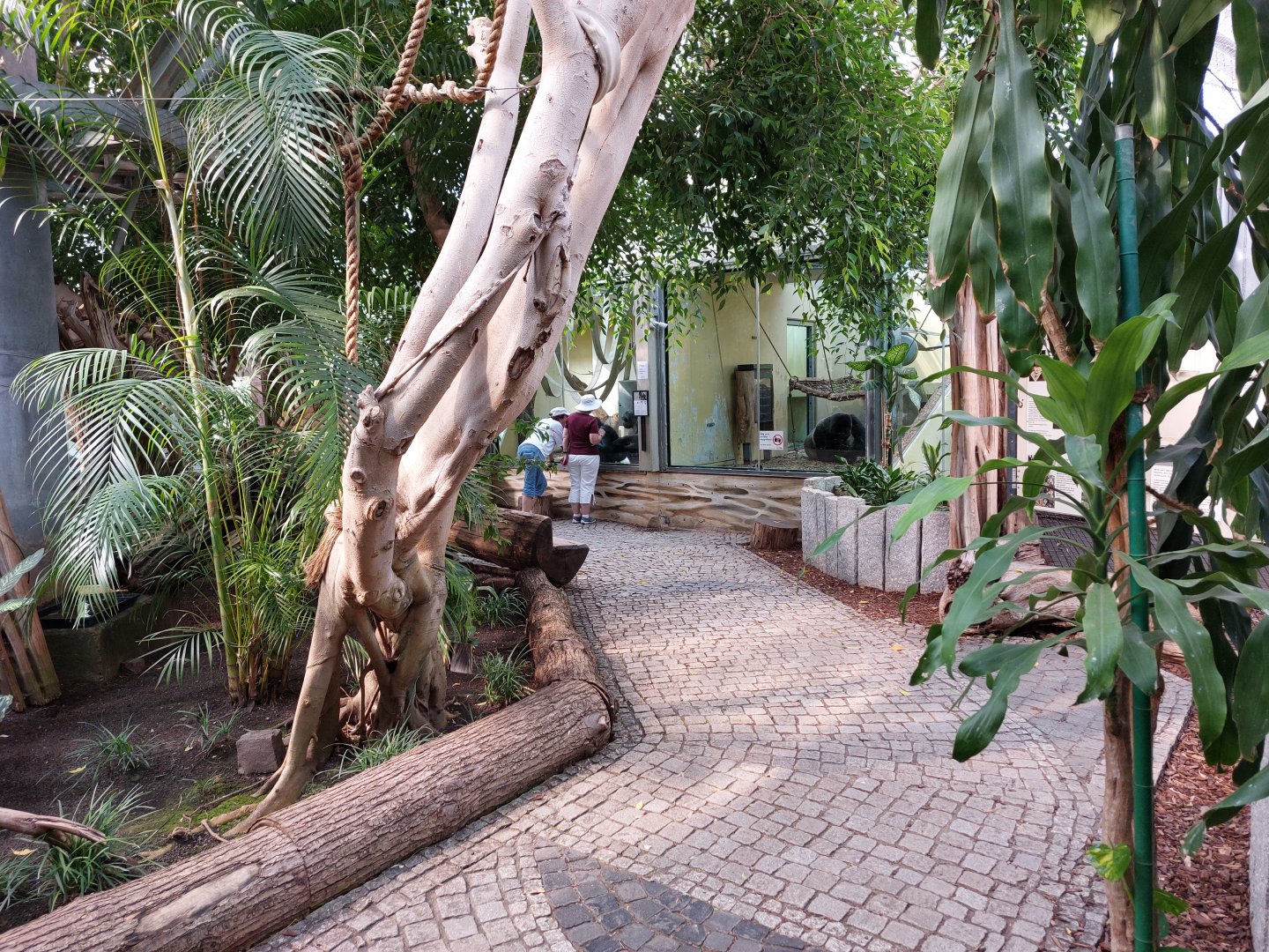 Great ape house interior