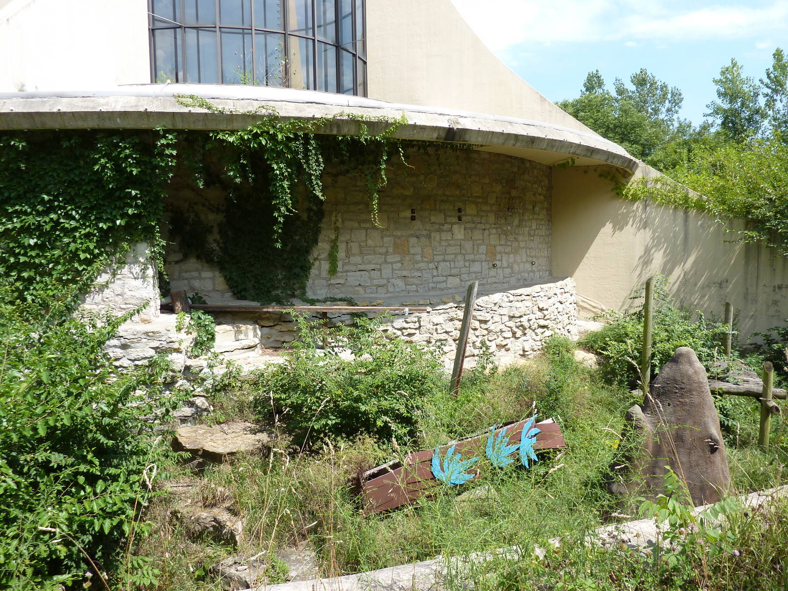 Great Ape House - Now Empty