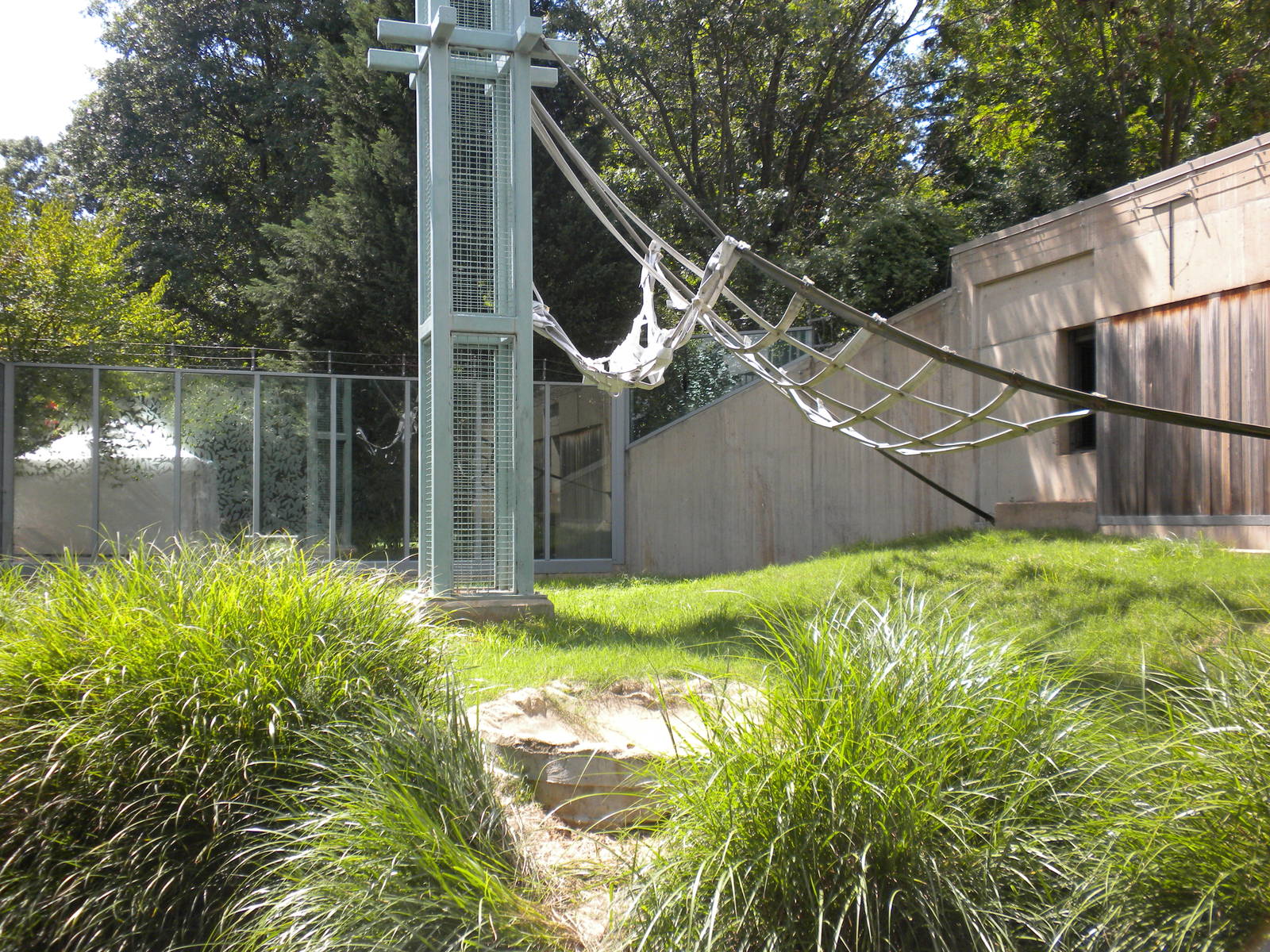 Great Ape House - Orangutan Exhibit and O-Line