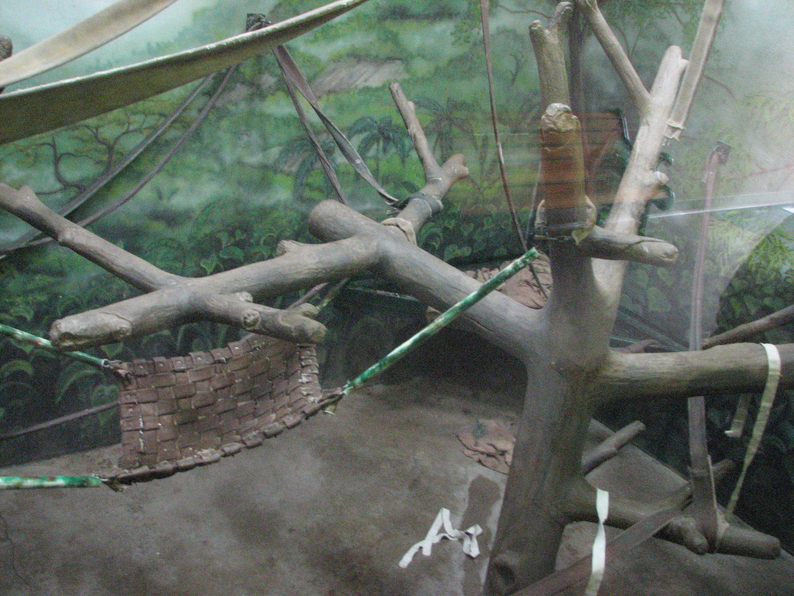 Great Ape House - Orangutan Indoor Exhibit