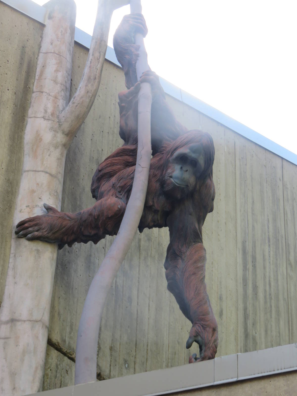 Great Ape House - Orangutan Sculpture