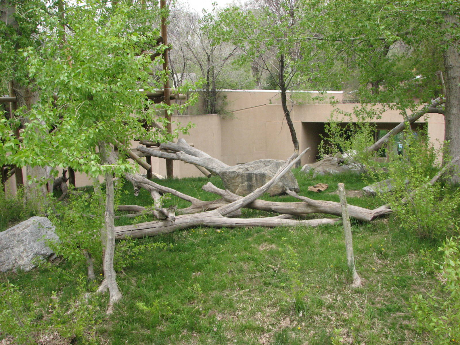 Great Ape House - Orangutan Yard