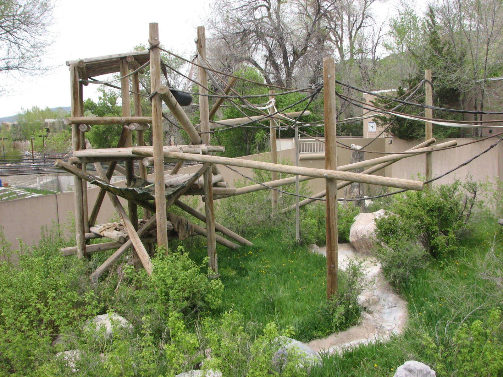 Great Ape House - Orangutan Yard