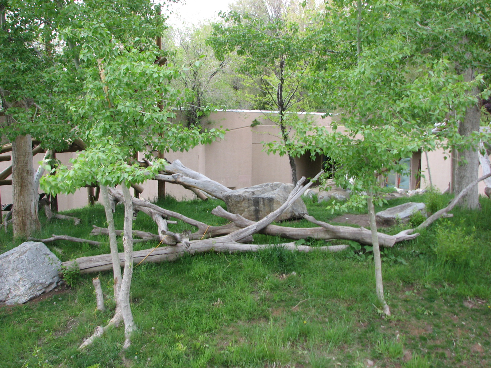 Great Ape House - Outdoor Gorilla and Spot-Noed Guenon