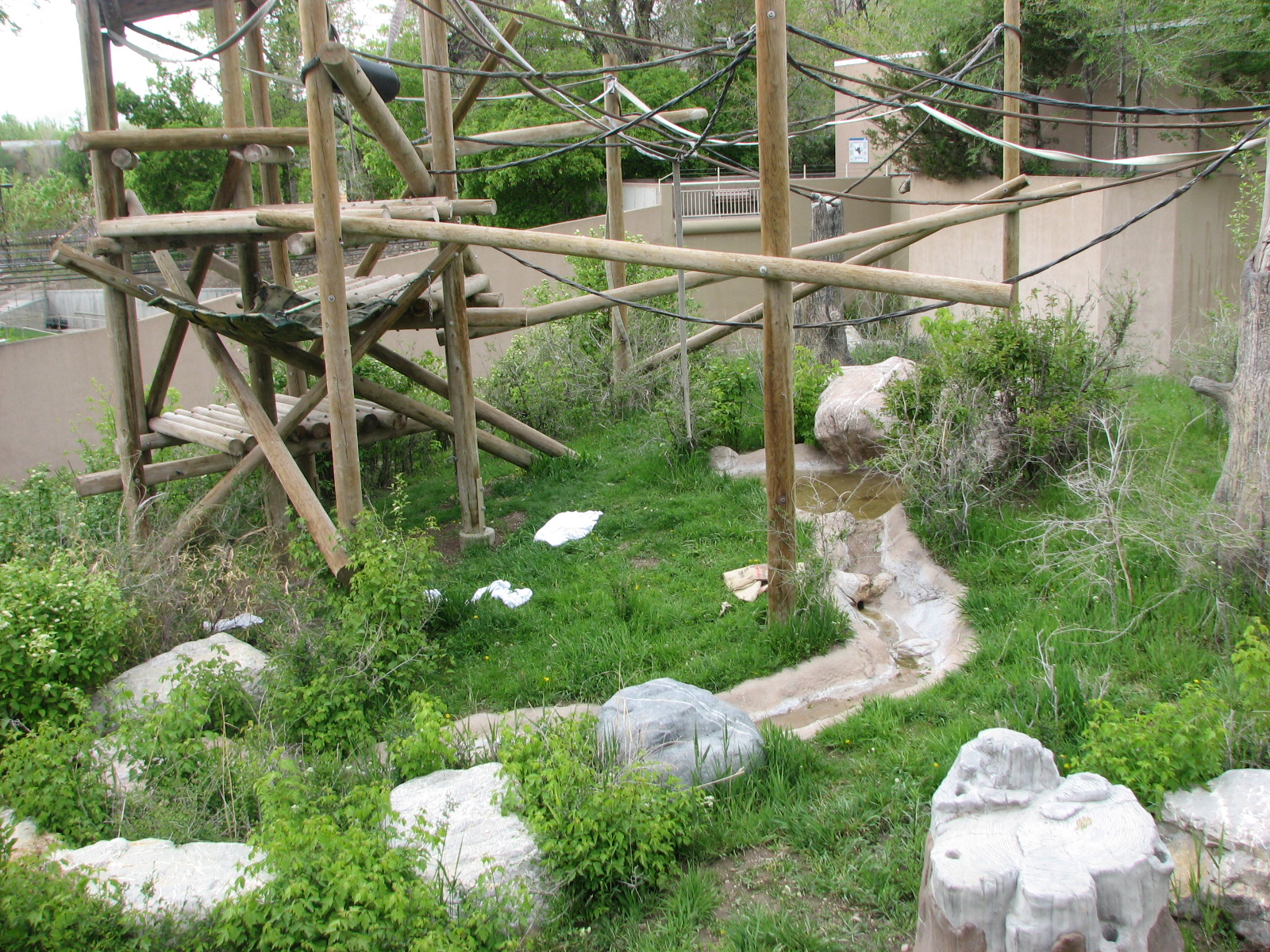 Great Ape House - Outdoor Orangutan