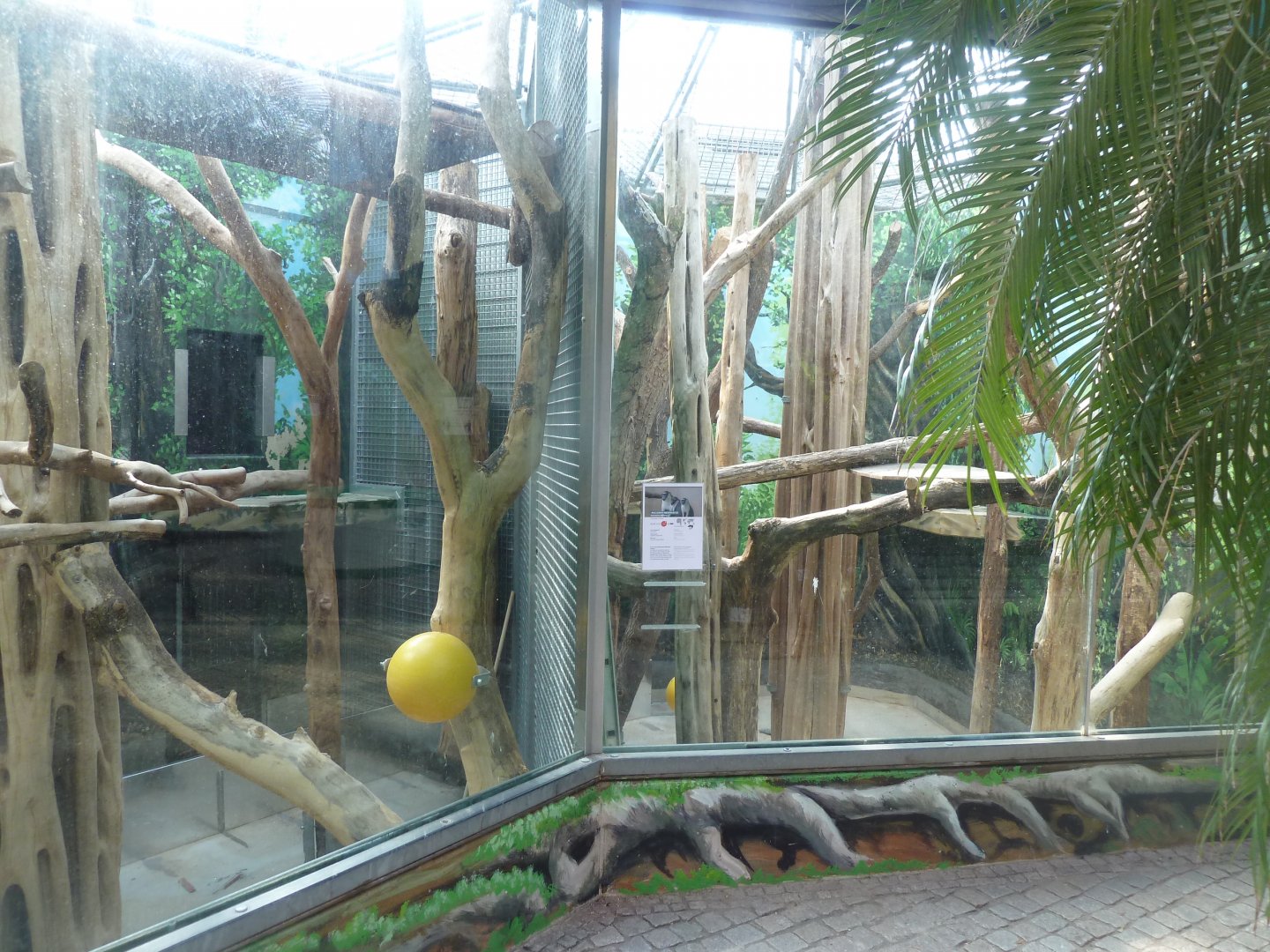 Great Ape House - Rolloway guenon interior enclosure