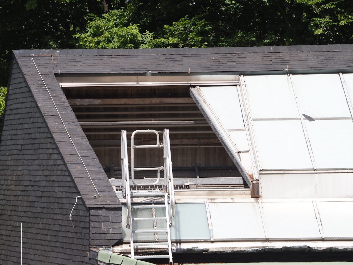 Great ape house roof renovations, 2025-05-30