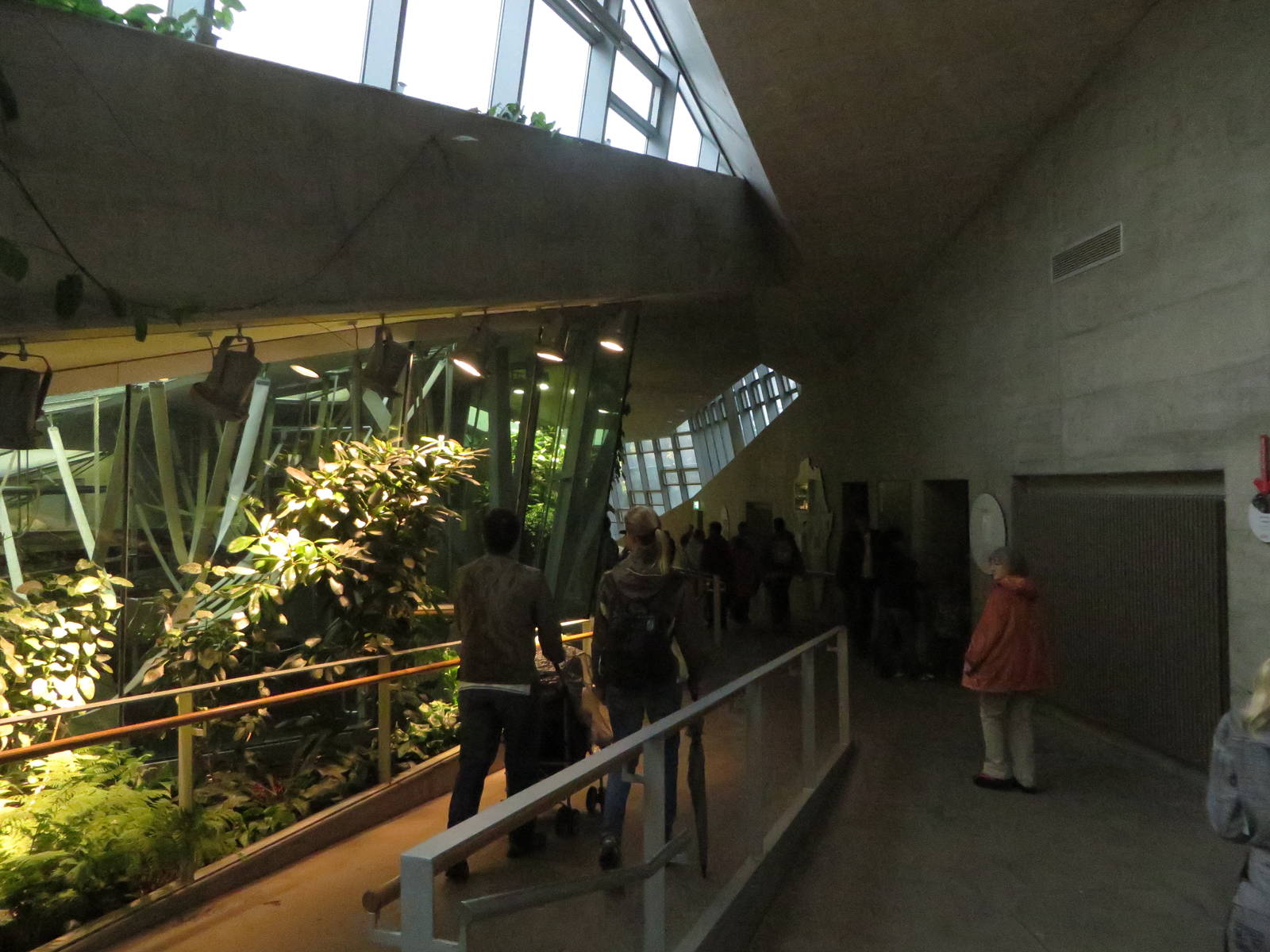 Great ape house visitors path